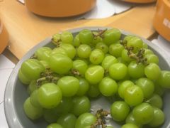 -龍歌自助小火锅(兰山上海路万达店)