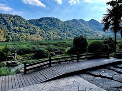 -中国茶叶博物馆(双峰馆区)