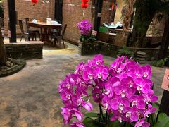 -园林美食城·本土农家菜(杨和镇店)