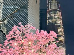 -深圳湾万象城(南山店)