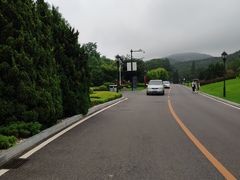 -棒棰岛宾馆景区