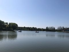 -上海长兴岛郊野公园