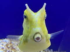 -大连圣亚海洋世界