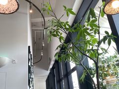 -gaga(深圳南山益田假日广场店)