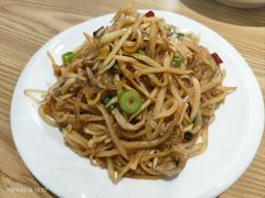 酸萝卜粉条炒肉-方城小吃店