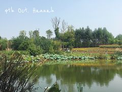 -白鹭湾湿地公园