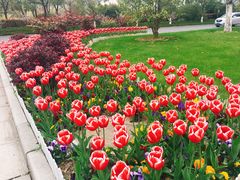 -无锡市市民中心