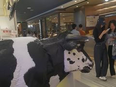 -红星前进面包牛奶公司(君太店)