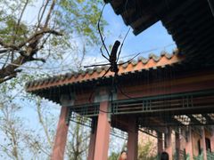 -海南文笔峰盘古文化旅游区