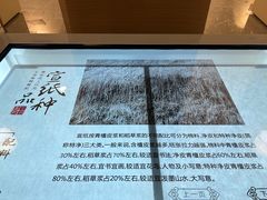 -中国宣纸文化园