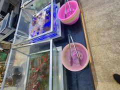-三亚亚龙湾红树林度假酒店