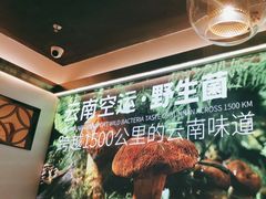 -野·大山里野生菌石锅土鸡(益田假日店)