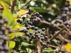 -敬亭山风景名胜区