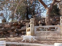 -潭柘寺景区