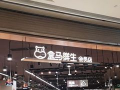 门面-盒马鲜生(岭南新世界店)
