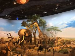 -陕西自然博物馆