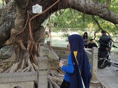 -小洲村