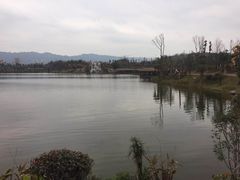 -枫香湖儿童公园