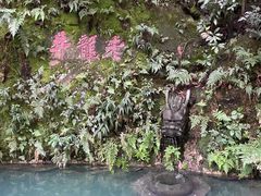 -十八棵（老龙井）御茶园(老龙井店)