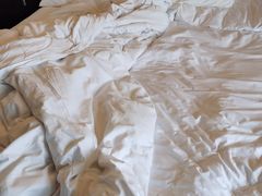 -上海明天广场JW万豪酒店