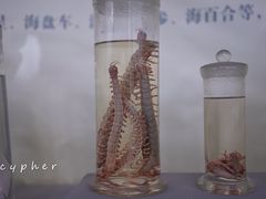 -北京中医药大学-中医药博物馆