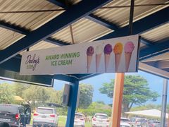 -Dooley's Premium Ice Cream