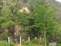 -北京鹫峰国家森林公园