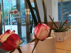 -Blueglass酸奶(财富购物中心店)