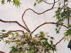 -耳艺采耳·足疗·按摩SPA(市桥店)