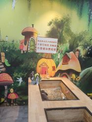 点击看大图 -神奇动物撸宠馆·羊驼·小浣熊·异宠(豫园店)