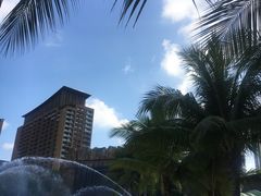 -亚马逊丛林水乐园