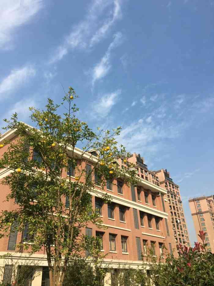 庙行实验学校-"马上要升六年级了,一直都是在纠结中,这个.