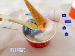 -Dal Cuore 达可芮冰淇淋(陕西北路店)