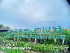 -三亚亚龙湾红树林度假酒店