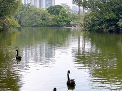 -南宁市动物园
