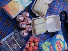 -上海共青森林公园