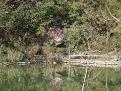 -靖西鹅泉风景区