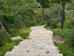 -上海佘山国家森林公园天马山园