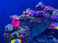 -成都浩海立方海洋公园