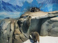 -华夏文旅海洋公园