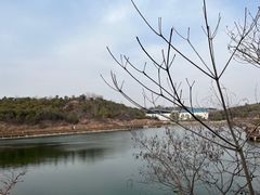 -中国西峡恐龙遗迹园