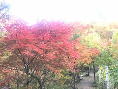 -龙道沟景区