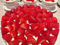 -O'eat Blossom&Pelican(深圳首店)