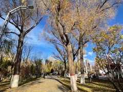 -西宁市人民公园(城西区)