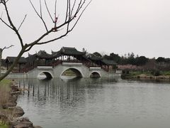 -上海海湾国家森林公园