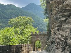 -牛背梁国家森林公园