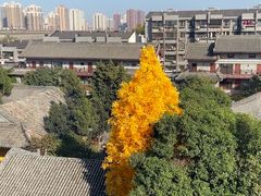 -西安城墙·碑林历史文化景区