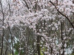 -江南大学(蠡湖校区)