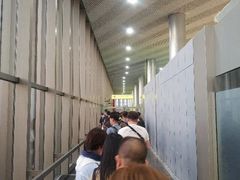 -谢列梅捷沃国际机场