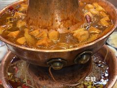 鸡腿锅-超越炭火牛蛙火锅鸡(河东店)